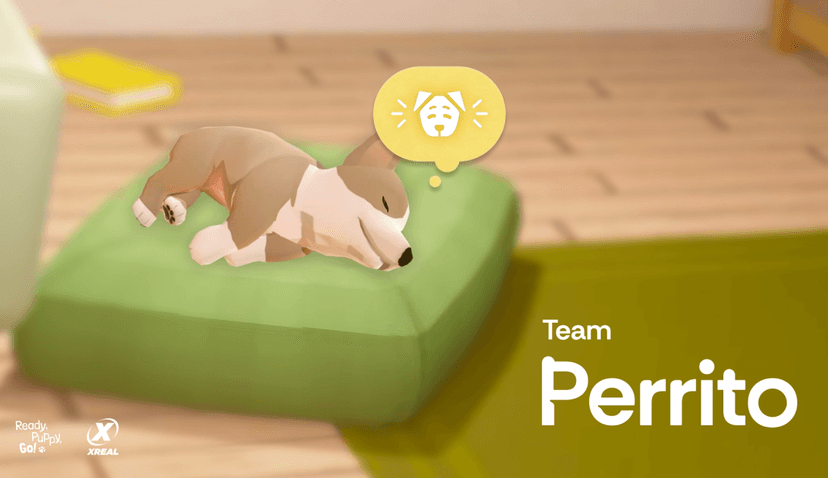 Perrito의 프로젝트 이미지